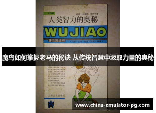 魔鸟如何掌握老马的秘诀 从传统智慧中汲取力量的奥秘
