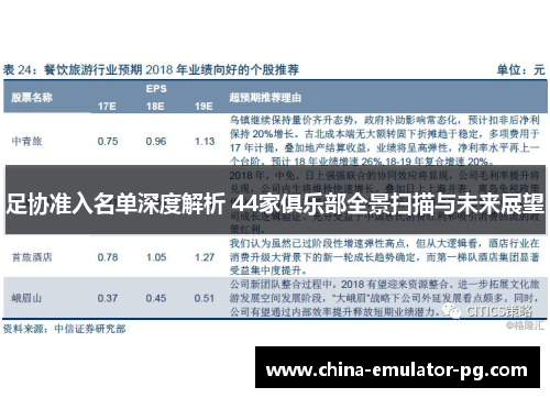 足协准入名单深度解析 44家俱乐部全景扫描与未来展望