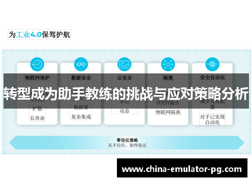 转型成为助手教练的挑战与应对策略分析