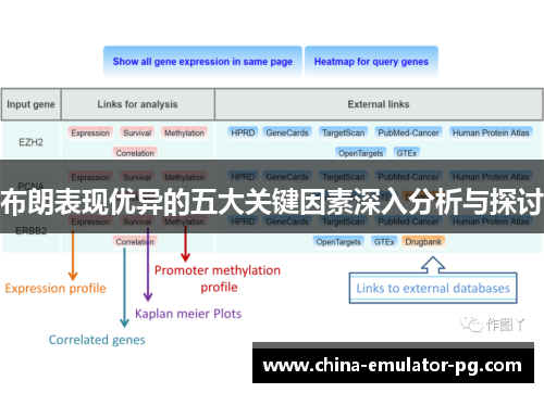 布朗表现优异的五大关键因素深入分析与探讨
