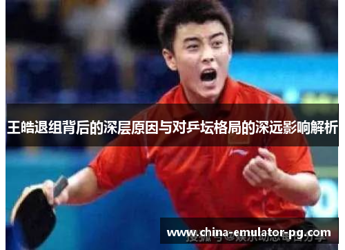 王皓退组背后的深层原因与对乒坛格局的深远影响解析