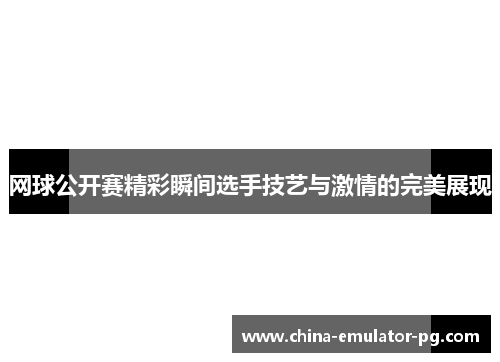 网球公开赛精彩瞬间选手技艺与激情的完美展现