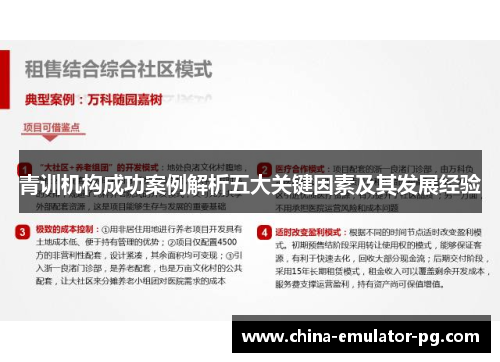 青训机构成功案例解析五大关键因素及其发展经验